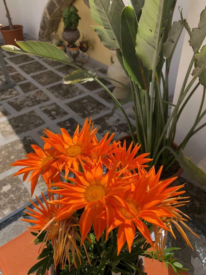 Corte La Rosa Nardò Zewnętrze zdjęcie